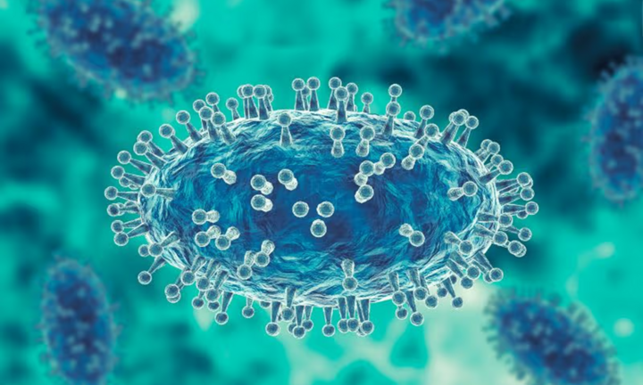 Đưa trái phép virus đậu mùa khỉ vào Mỹ, hai nhà nghiên cứu bị truy tố 