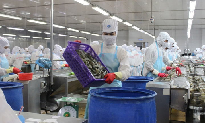 Xuất khẩu tôm và cá tra tăng trưởng hai con số