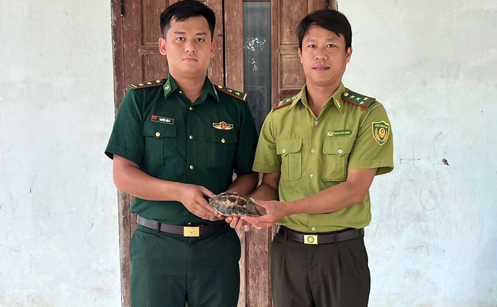 Phát hiện con vật nặng chưa đầy 1kg, có hoa văn 