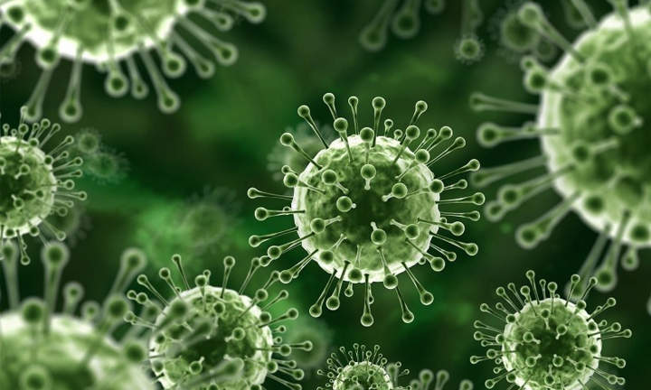 Ấn Độ ghi nhận một ca nhiễm virus Nipah tại Kerala
