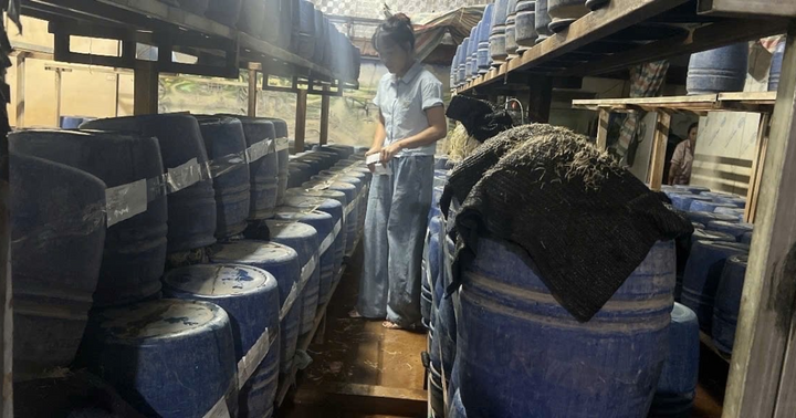Khởi tố chủ cơ sở dùng “nước kẹo” sản xuất gần 2 tấn giá đỗ bán ra thị trường