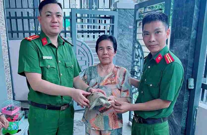 Người dân tự nguyện giao nộp rùa núi vàng quý hiếm cho cơ quan chức năng