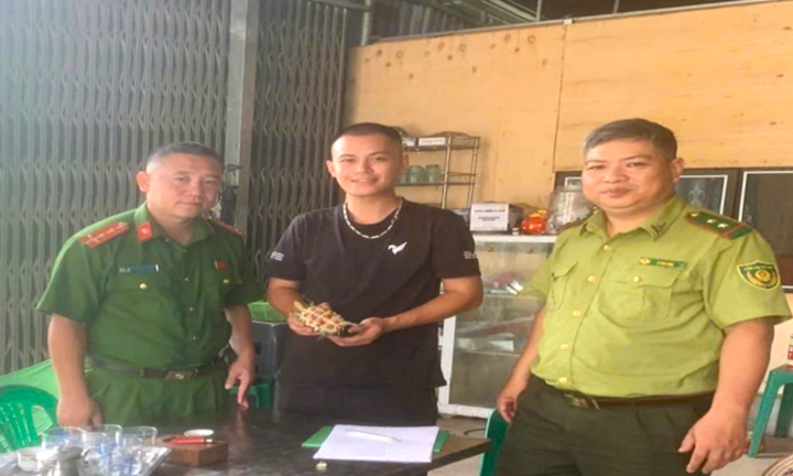 Tin tức thời sự 24h: Người dân giao nộp rùa cổ sọc quý hiếm cho công an