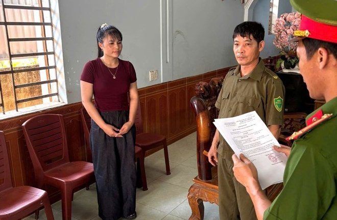 Thu mua lợn mắc bệnh về giết mổ, tiêu thụ, 3 đối tượng bị khởi tố