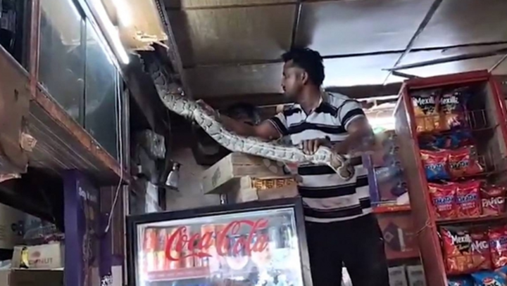 Hốt hoảng phát hiện “quái vật” trên trần nhà, chủ cửa hàng tháo chạy giữa đêm