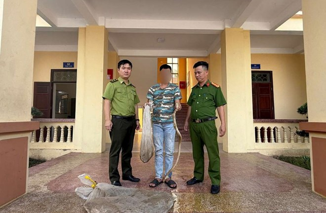 Tin pháp luật nổi bật 24h qua: Phát hiện 7 rắn hổ mang, 3 trăn đất trong nhà dân ở Ninh Bình