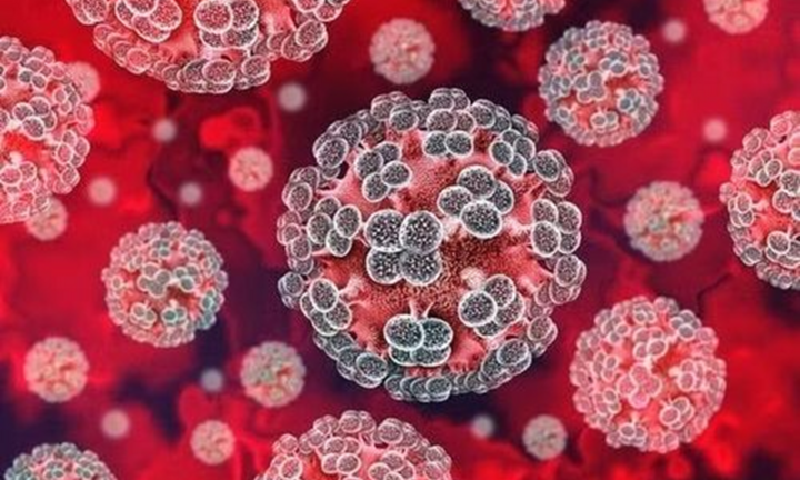 Bộ Y tế cập nhật thông tin mới nhất về bệnh do virus Hanta