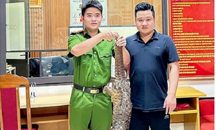 Sơn La: Phát hiện con vật quý hiếm bò lổm ngổm trên đường, người dân giao nộp công an