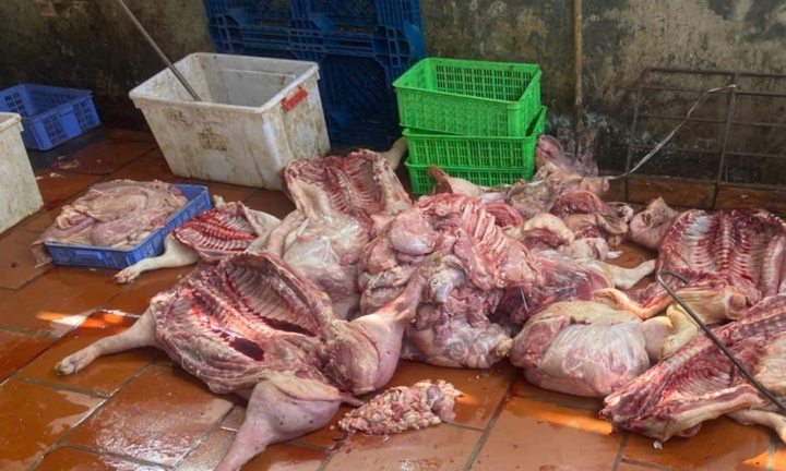 Gần 1 tấn thịt lợn nghi nhiễm dịch tả lợn châu Phi bị phát hiện ở Hưng Yên