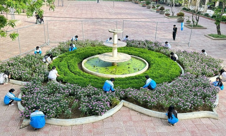 TRƯỜNG THPT MƯỜNG NHÉ thực hiện tốt công tác bồi dưỡng đội ngũ giáo viên năm học 2025-2026 nâng cao chất lượng giáo dục
