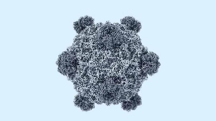 AI tạo ra 16 virus chưa từng tồn tại: Đột phá y học đi kèm nỗi lo an ninh sinh học?