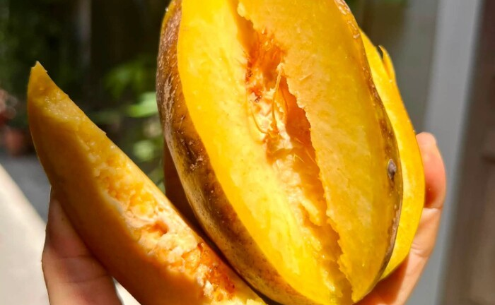 Chảy nước miếng với thứ quả