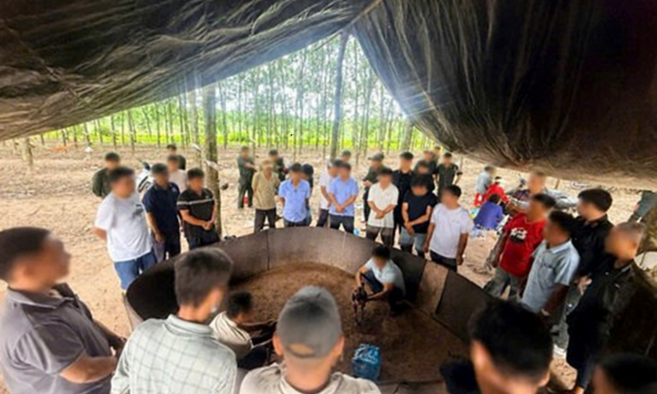 Triệt phá sới gà quy mô lớn trong vườn cao su ở Tây Ninh: Thu 500.000 đồng tiền 