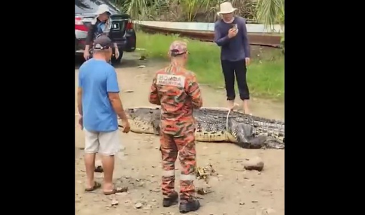 Đi bắt ốc cùng con gái, cụ bà 78 tuổi ở Malaysia bị cá sấu dài 3,6m kéo khỏi thuyền, tử vong thương tâm