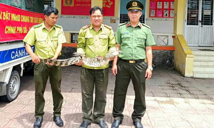 Giăng lưới đánh cá trên Kênh Đôi, người đàn ông bất ngờ bắt được...cá sấu