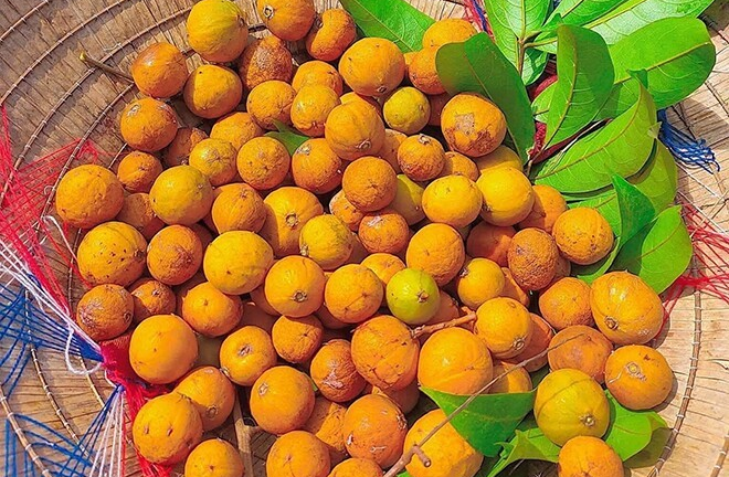 Thức quà đặc trưng của mùa thu Hà Nội, hấp dẫn bởi vị chua dịu xen ngọt thanh, giòn thơm khó quên