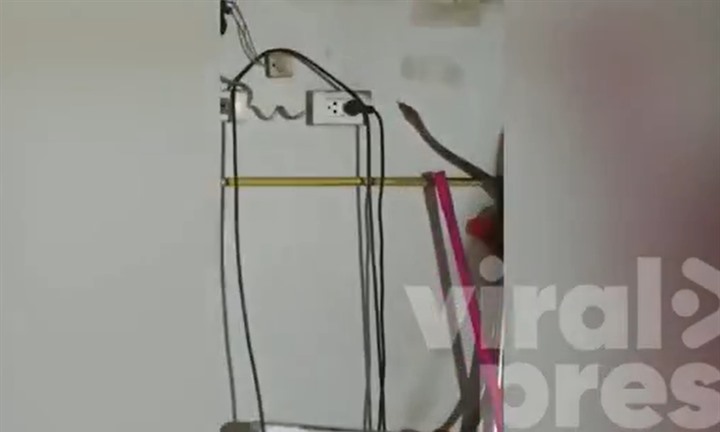 Cảnh tượng con vật đáng sợ trườn qua tường bếp khiến người phụ nữ thót tim