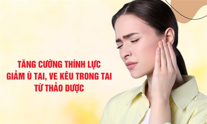 Giải pháp tăng cường thính lực, giảm ù tai, ve kêu trong tai từ thảo dược