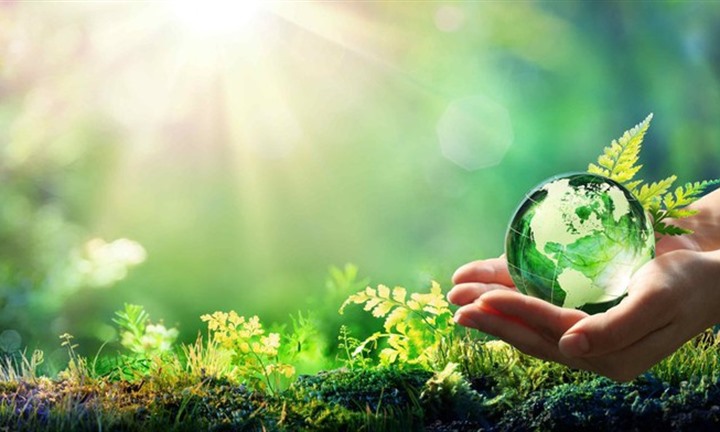 Sản xuất giấy công suất trung bình có phải xin giấy phép môi trường hay không?