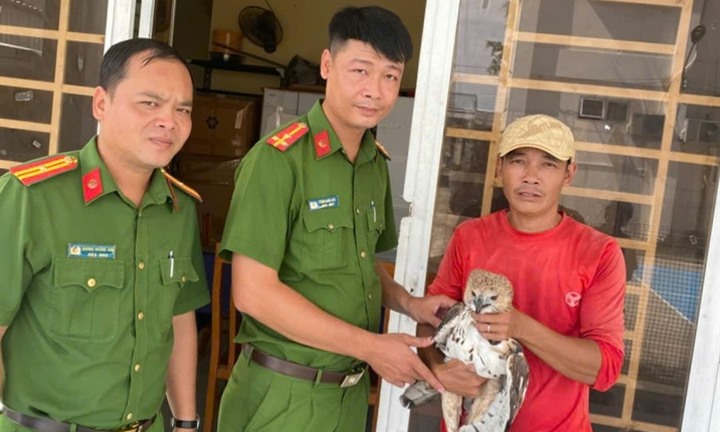 Người đàn ông ở An Giang mang chim quý, nặng 2kg đến công an giao nộp
