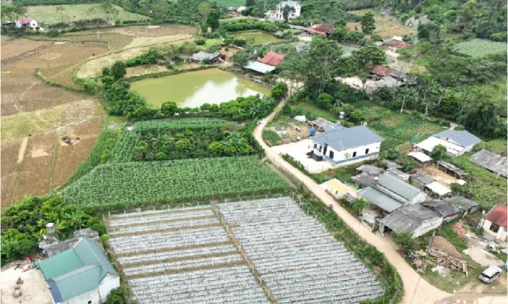 Công ty nhận vốn góp bằng đất nông nghiệp cần làm thủ tục gì?