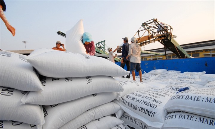 Điều kiện về kinh doanh xuất khẩu gạo