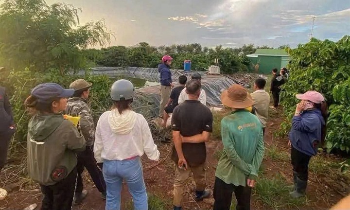Người đàn ông bàng hoàng phát hiện con gái cùng bạn tử vong dưới hồ nước giữa rẫy cà phê