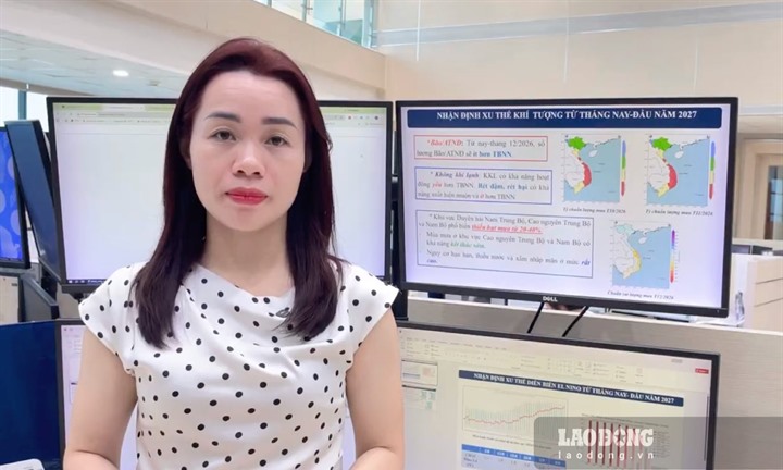 Dự báo số cơn bão, áp thấp từ nay đến cuối năm 2026