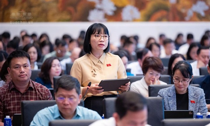ĐBQH: Giá điện hợp lý không đồng nghĩa với giá điện thấp bằng mọi cách