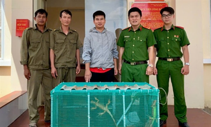 10 cá thể rồng Nam Mỹ được người dân tự nguyện giao nộp cho công an