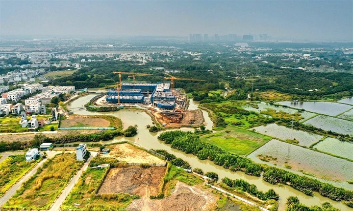 Chuyển nhượng đất nông nghiệp trước thu hồi, chủ mới có được hỗ trợ không?