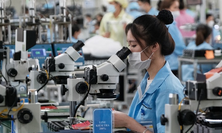 TPHCM đề xuất hỗ trợ học phí thực tế cho người học các nghề mà thành phố đang thiếu hụt nhân lực