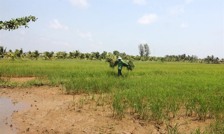 Đơn giá cho thuê nhà, đất có bao gồm các khoản thuế?