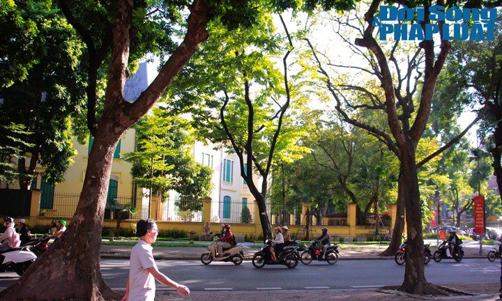 Dạo bước giữa thu Hà Nội: Từ góc phố rợp bóng cây đến những thức quà níu chân giới trẻ