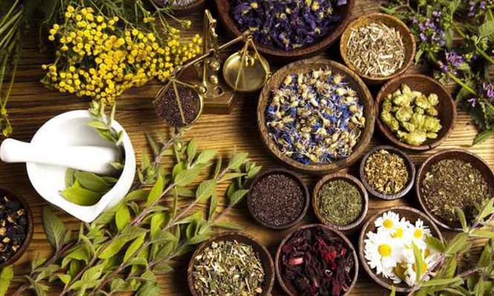 Phê duyệt Chiến lược quốc gia phát triển nền y học cổ truyền Việt Nam đến năm 2030, tầm nhìn đến năm 2045