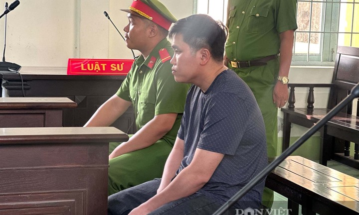 Tài xế gây tai nạn khiến nữ sinh ở Vĩnh Long tử vong lĩnh án 30 tháng tù