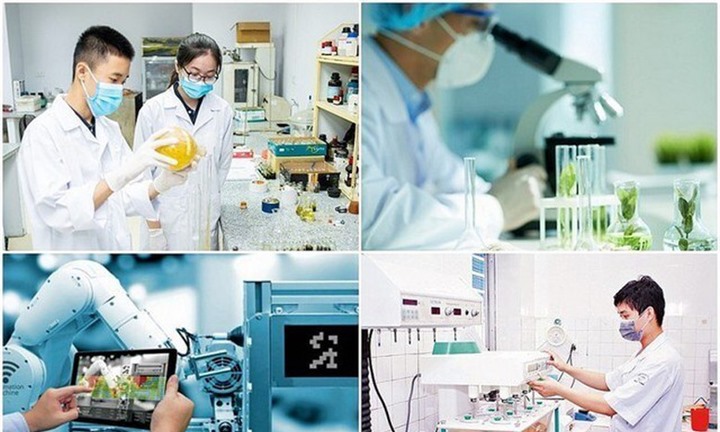  Cơ chế thu hút chuyên gia, tài năng trẻ trong hoạt động đổi mới sáng tạo, khai thác dữ liệu 