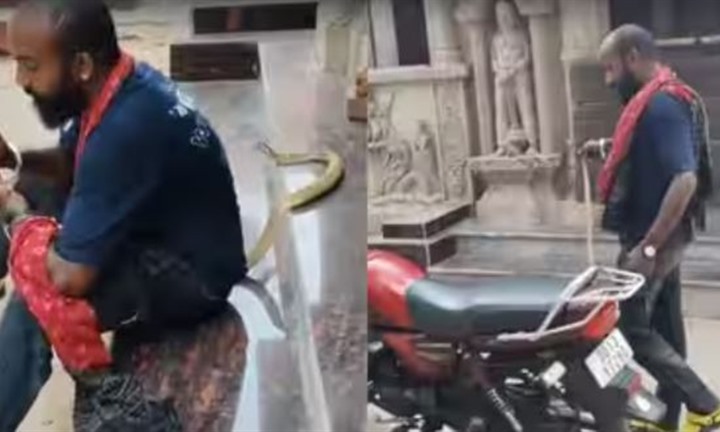 Liều lĩnh quay video và chụp ảnh với con rắn hổ mang trước hiên nhà, thanh niên 28 tuổi ở Ấn Độ bị cắn thiệt mạng