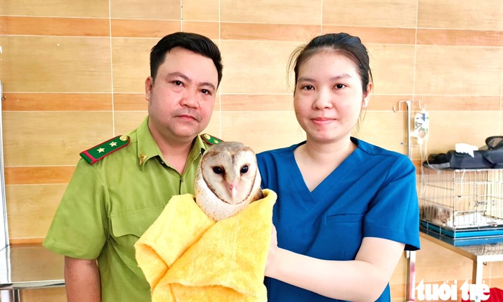 Góc nhìn pháp lý vụ con chim cú lợn bị cắt lông cánh, không thể bay ở TPHCM