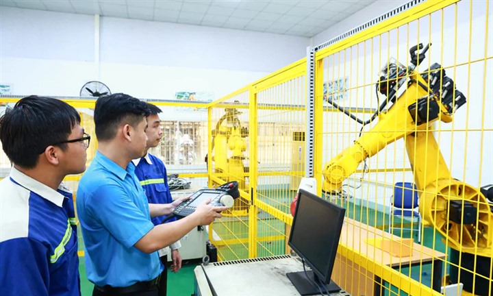Sắp xếp, sáp nhập, tổ chức lại, chuyển giao các trường sư phạm, xây dựng, kỹ thuật, công nghệ