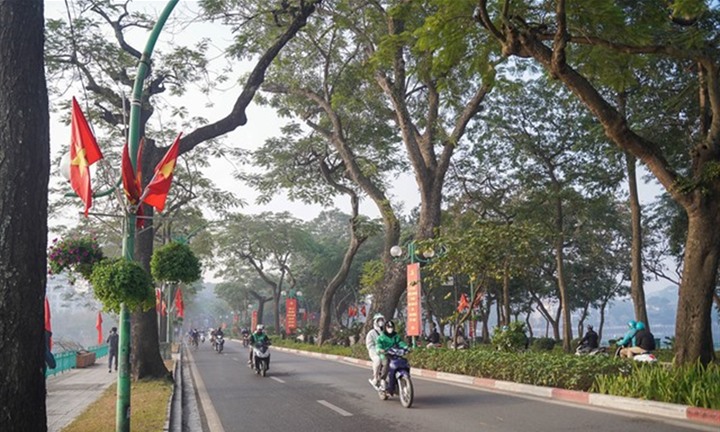 Hà Nội công bố 18 loài cây cấm trồng nơi công cộng, có trứng cá, dâu da