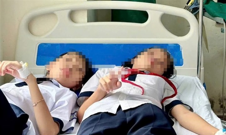 27 học sinh ở Quảng Trị phải nhập viện vì ném đá vào tổ ong ở sân trường, sức khỏe hiện ra sao?