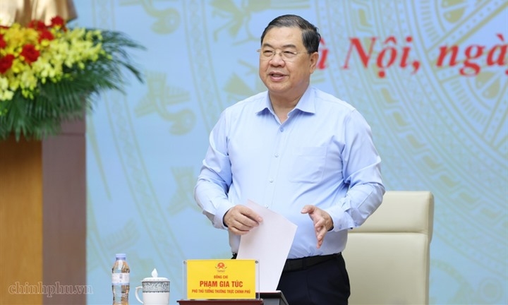 Phó Thủ tướng Thường trực Phạm Gia Túc làm Chủ tịch Hội đồng thẩm định Quy hoạch khoáng sản nhóm I
