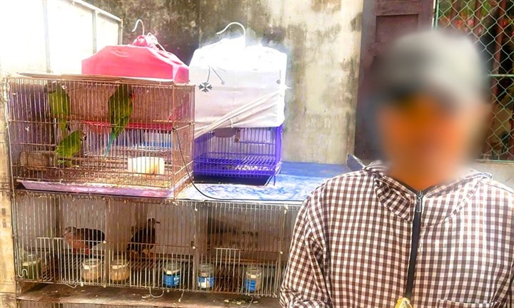 Buôn bán 36 con chim hoang dã, người đàn ông ở Ninh Bình bị khởi tố
