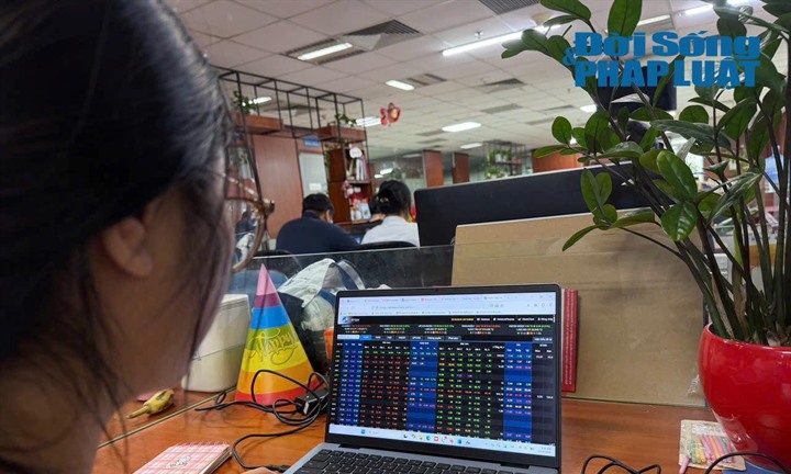 Vì sao Công ty cổ phần Tandoland bị xử phạt?