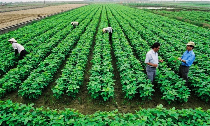 Điều kiện hưởng mức thu tiền sử dụng đất ưu đãi