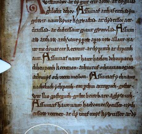 Rùng rợn gương mặt ma quái trên bản thảo thời Trung cổ