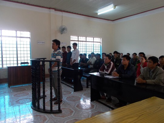 Kiểm tra xe gỗ lậu rồi thả cho đi, nguyên trưởng công an xã lĩnh án