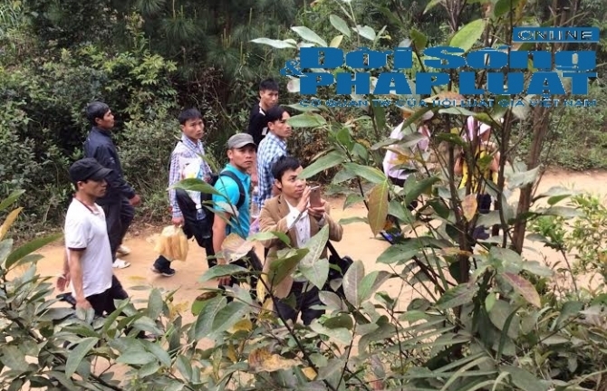 Phát hiện cây Kơnia trên đường hành hương về cửa Phật