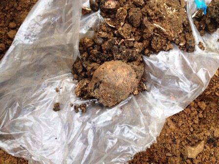 Hãi hùng đào móng nhà, tìm thấy 11 bộ xương